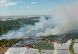 El Infoca da por estabilizado el segundo incendio en 24 horas en zonas próximas de Moguer