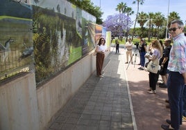 Presentación de la exposición fotográfica en el Parque La Marjal de Alicante, este lunes